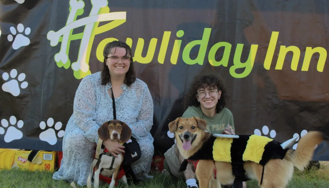 Why Howliday Inn Pet Resort is the Top Choice for Dog Boarding in Springfield, MO