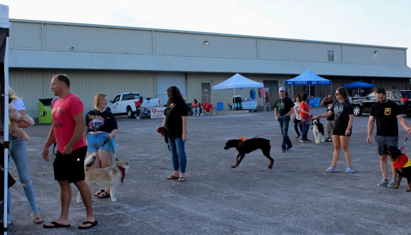 Dog at Howliday Inn Pet Resort — a Pet Parent’s Guide to Preparing an Anxious Dog for a Comfortable and Positive
