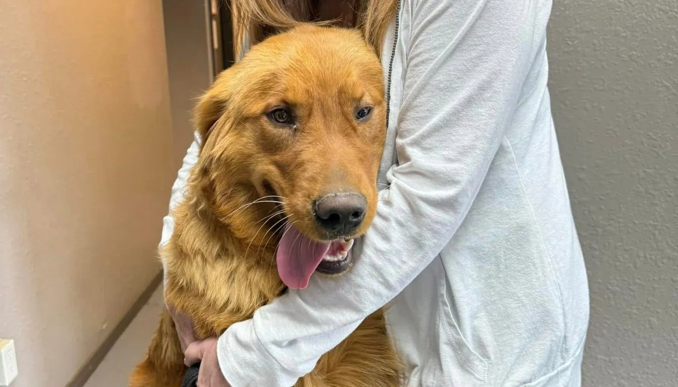 Owner comforting a calm dog before a boarding stay at Howliday Inn Pet Resort