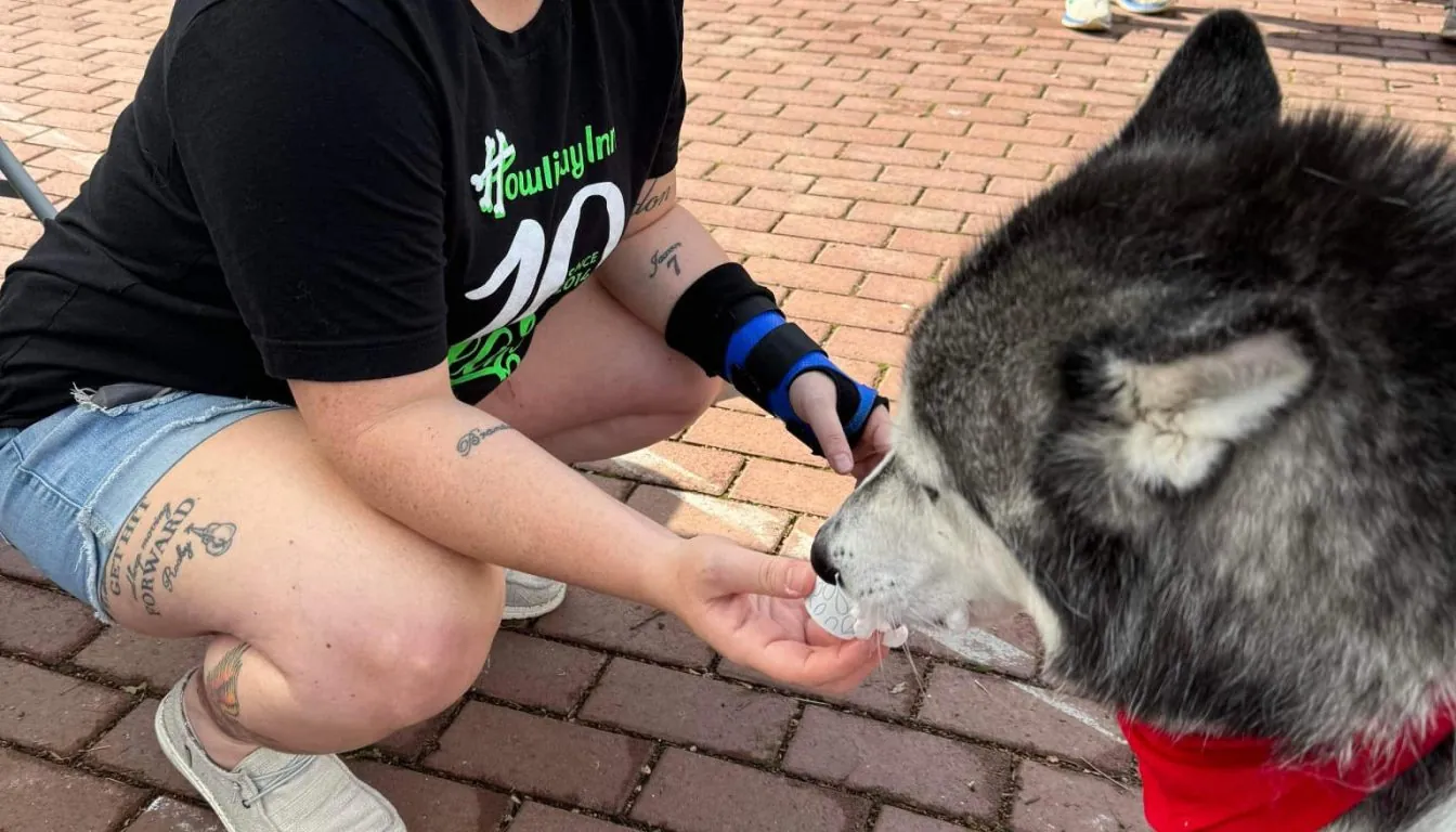 Dog at Howliday Inn Pet Resort — traveling? Here’s Why Pet Boarding in Springfield, MO Is the Stress-Free Solution