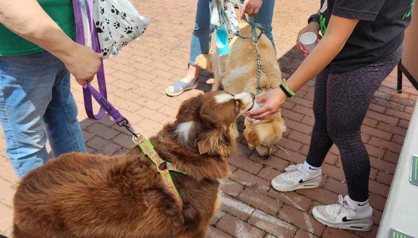 Pet owner touring a dog boarding facility at Howliday Inn Pet Resort