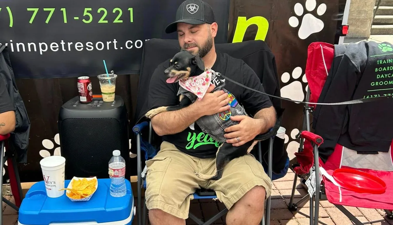 Dog at Howliday Inn Pet Resort — health & Safety First