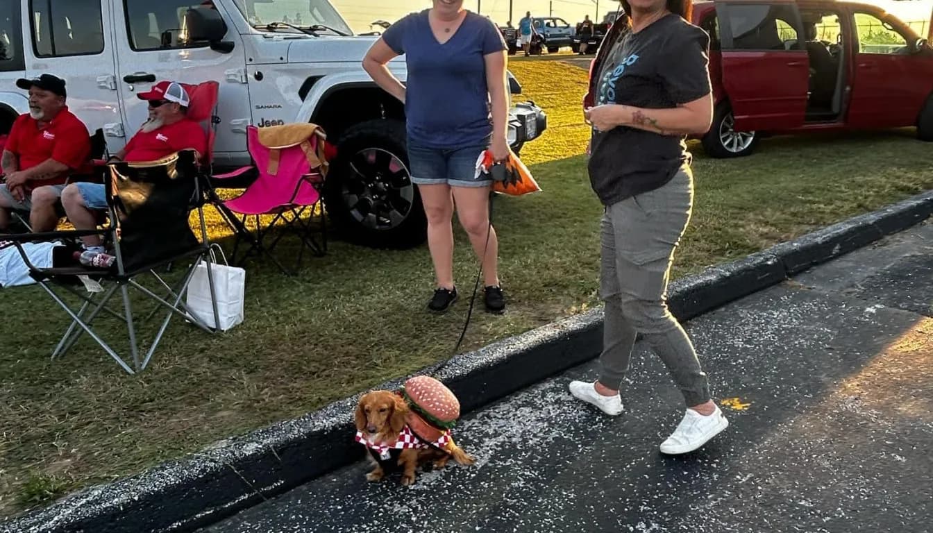 Puppy Training in Ozark & Springfield, MO: Starting Your Pup on the Right Paw