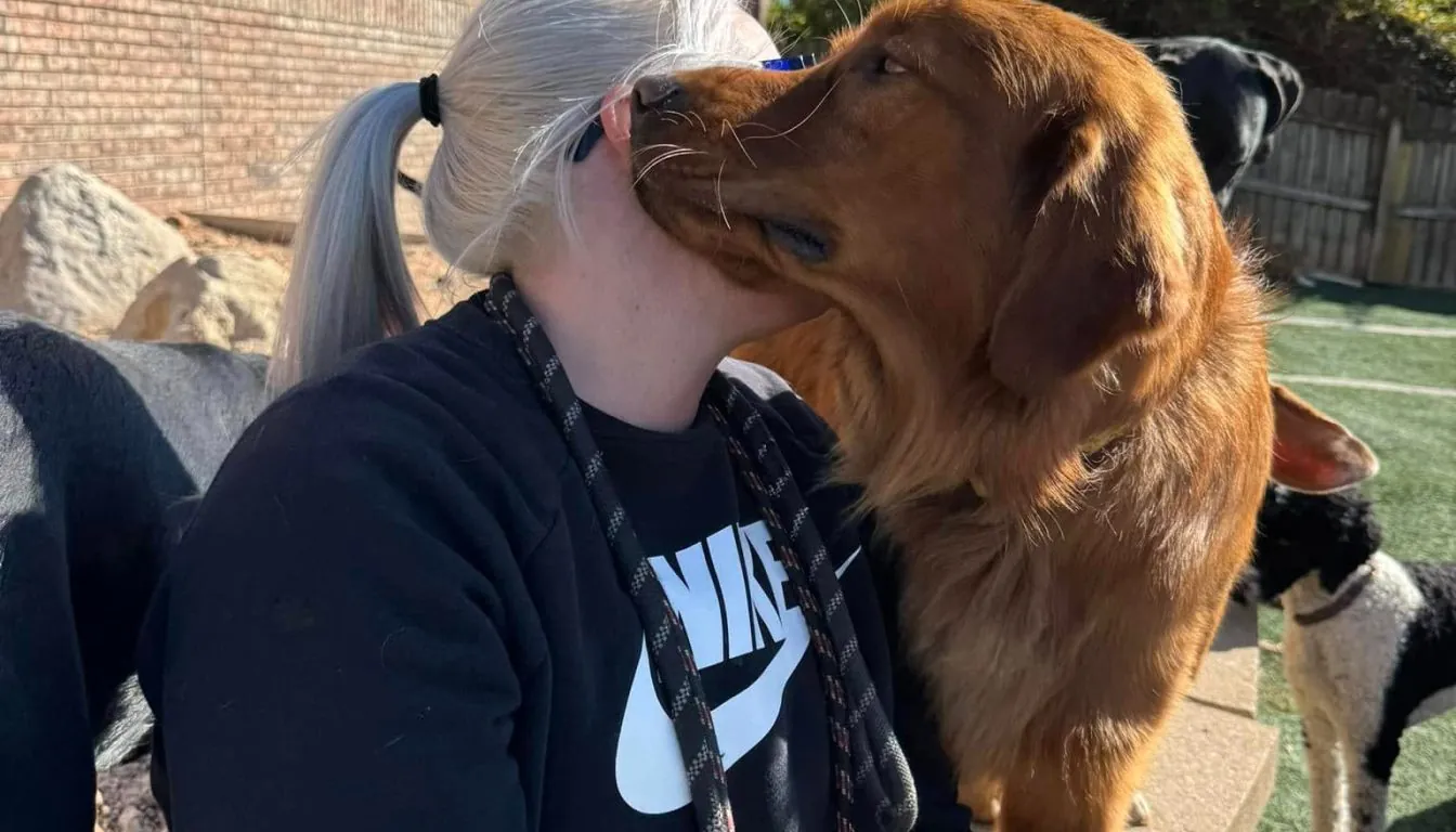 Springfield’s Most Common Dog Behavior Problems (And How to Fix Them)