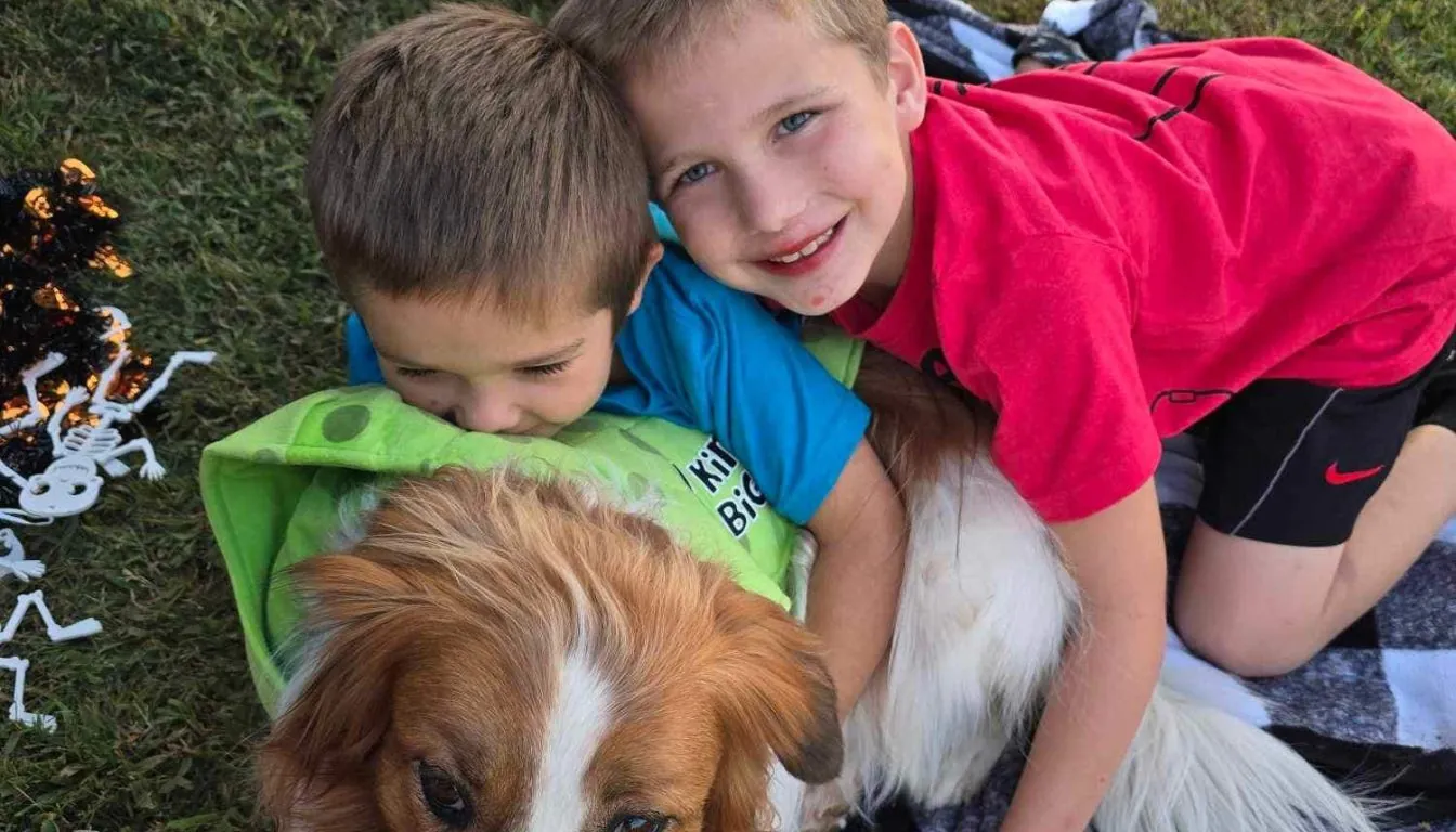 Dog at Howliday Inn Pet Resort — can Older Dogs Be Trained? The Truth for Springfield Dog Owners