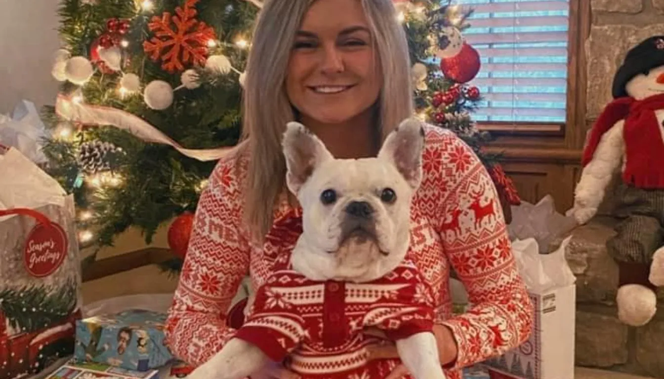 Dog at Howliday Inn Pet Resort — we Focus On