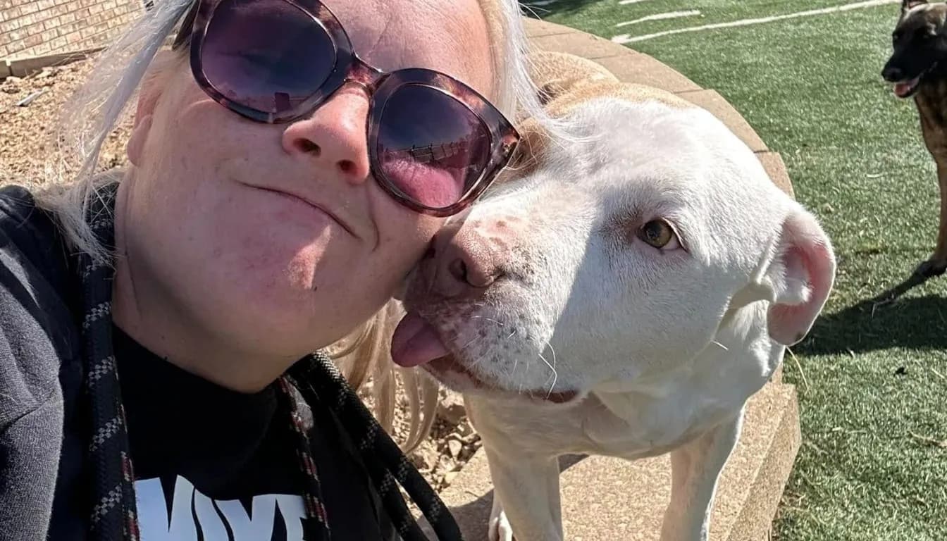 What Happens When Dogs Don’t Receive Enough Exercise During Boarding?