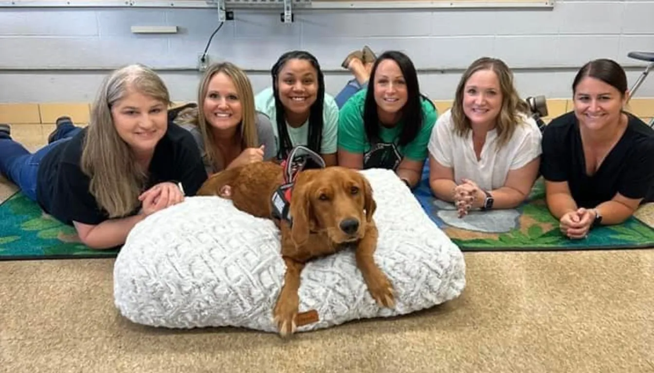 Howliday Inn Pet Resort’s 2026 Safety Standards: From Sanitation to Supervision