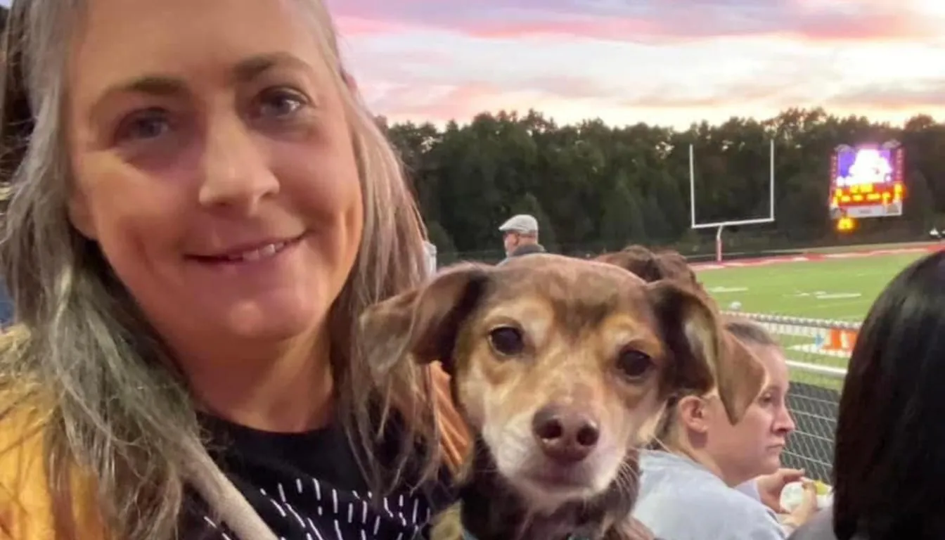 Dog Training near Me in Springfield: What to Look for before You Enroll