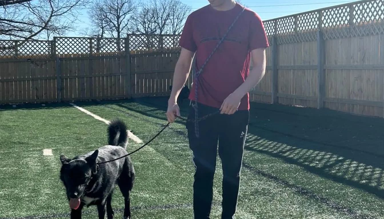 Dog at Howliday Inn Pet Resort — aggressive Dog? Here’s What Springfield Pet Owners Should Know Before It Gets Worse