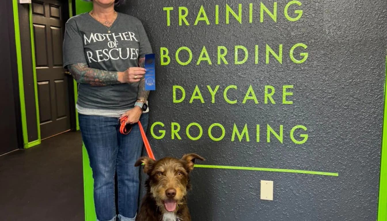 Dog at Howliday Inn Pet Resort — a Day in the Life at Our Doggy Daycare in Springfield, MO