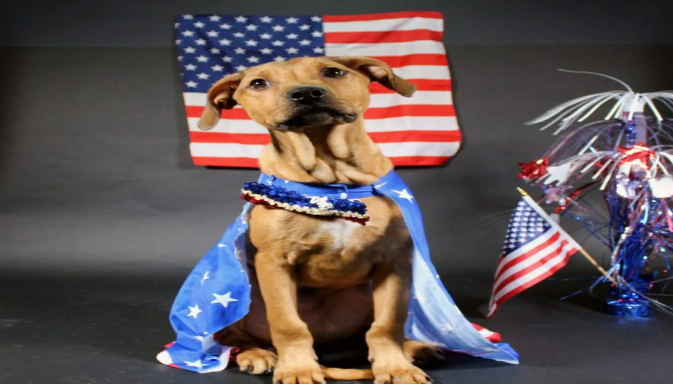 Pet Separation Anxiety in 2026: New Research & Proven Solutions