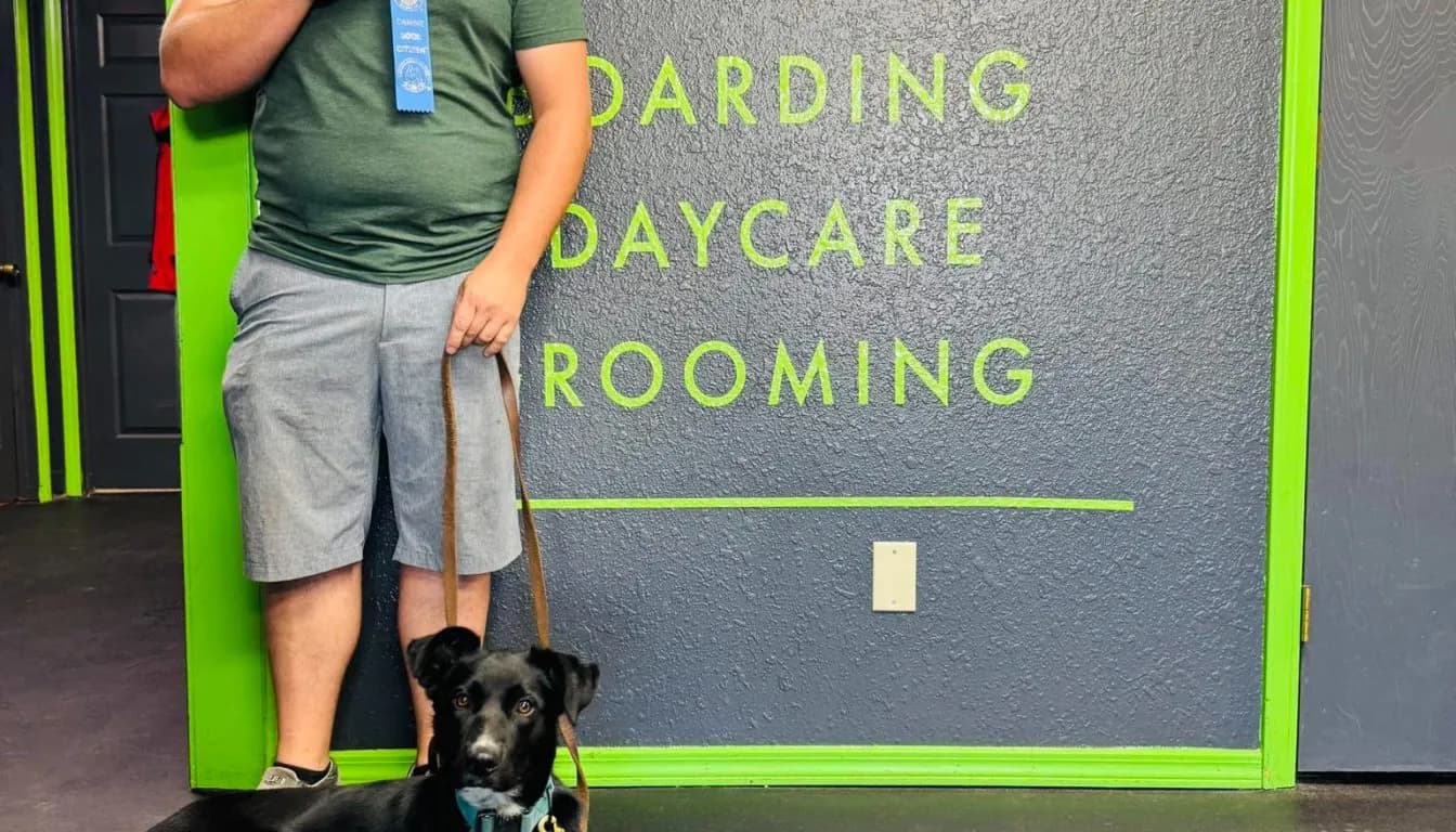 A Day in the Life at Our Doggy Daycare in Springfield, MO