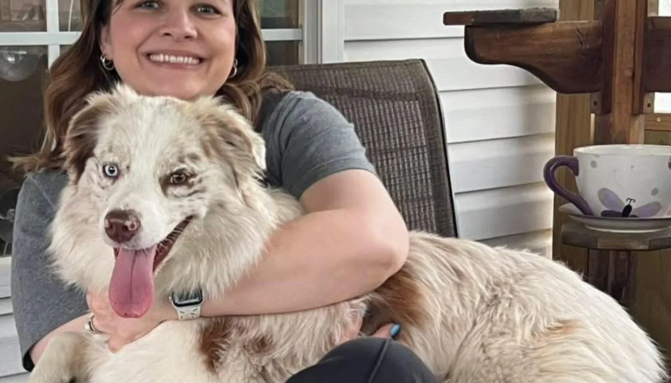 Dog at Howliday Inn Pet Resort — step Inside: The Howliday Inn Grooming Experience
