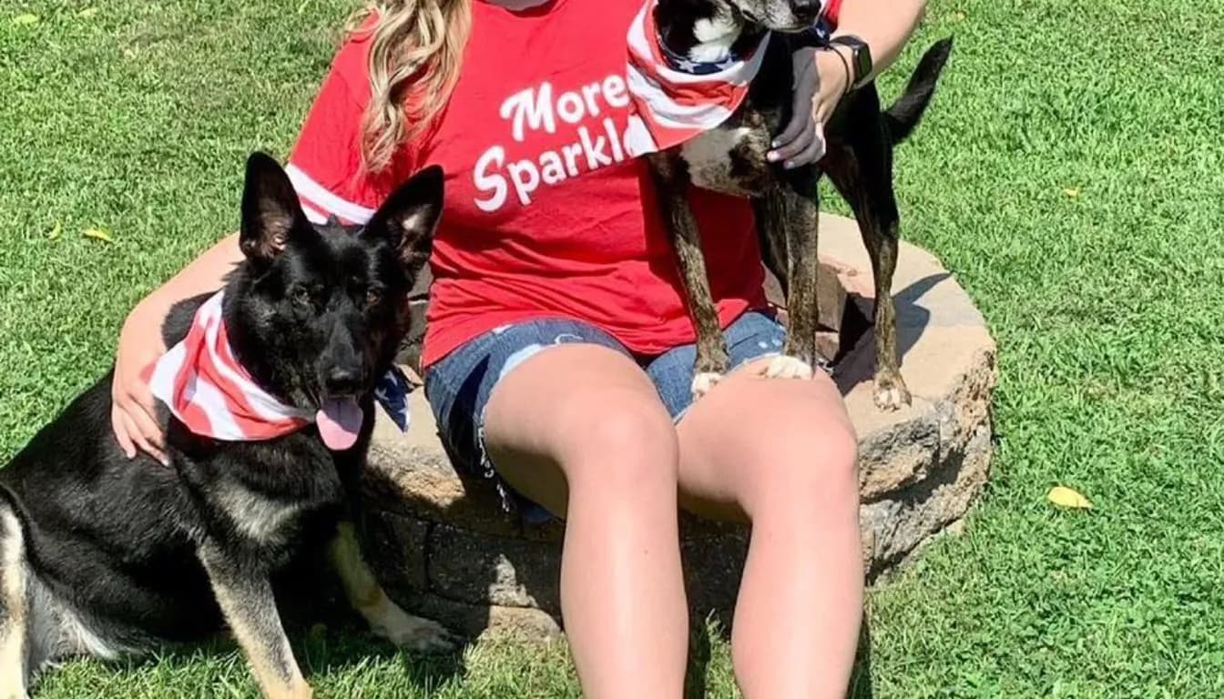 Dog at Howliday Inn Pet Resort — inside the Program: What Sets Our Boot Camp Apart