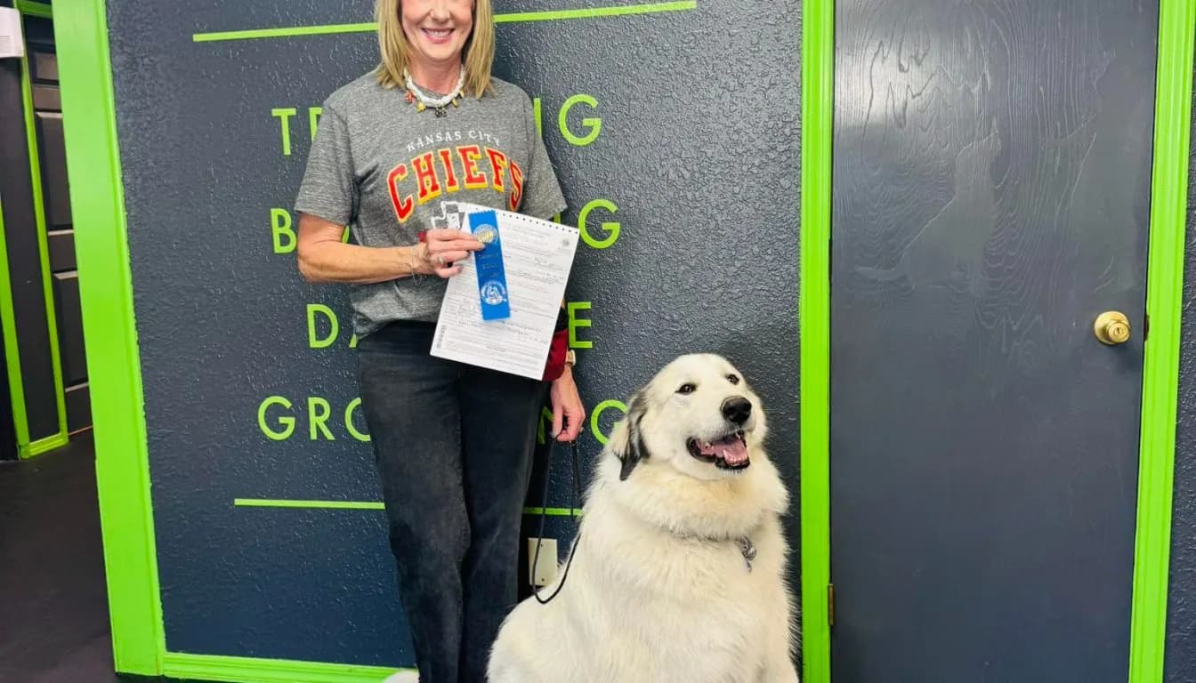 Dog at Howliday Inn Pet Resort — dog Daycare in Springfield, MO: Socialization, Exercise, and Supervised Fun