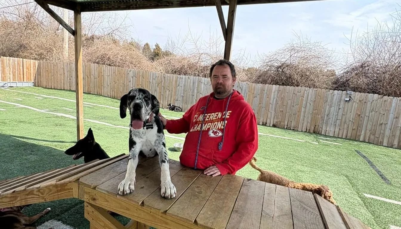 Why Some Dogs Refuse to Eat During Boarding-And What Experienced Caregivers Do Instead