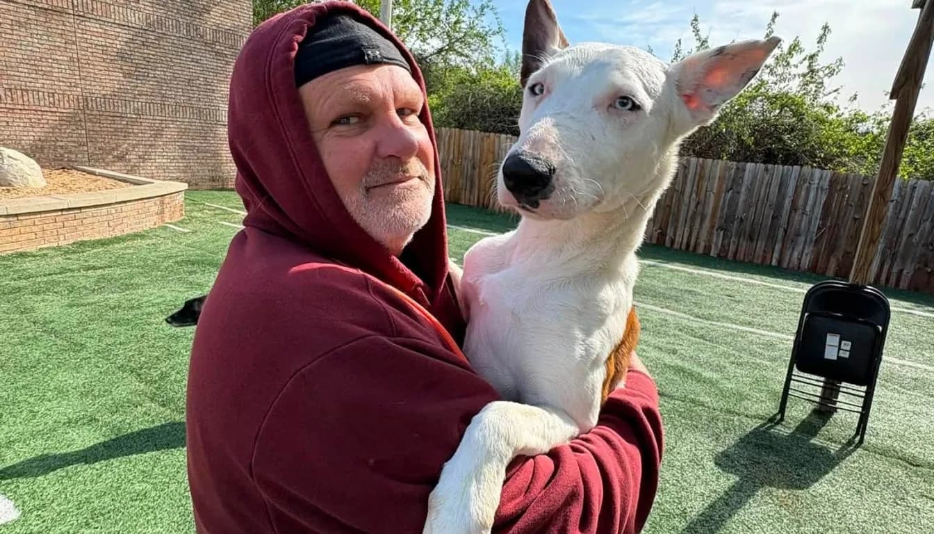 Why ‘Good Dogs’ Suddenly Become Problem Dogs (Springfield, MO Training Breakdown)