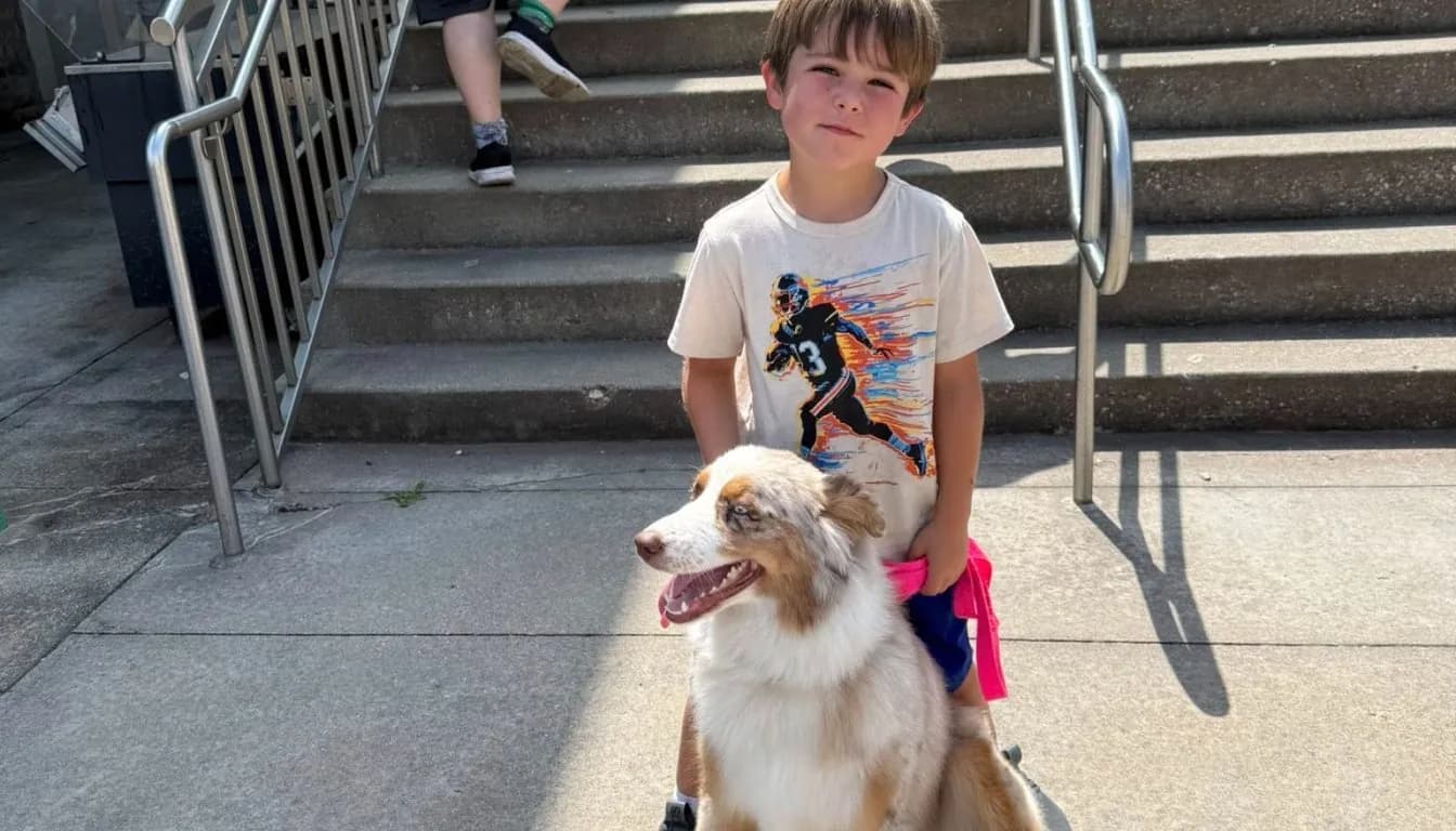 Dog at Howliday Inn Pet Resort — why Consistent, Reliable Care Can Make All the Difference for You and Your Dog