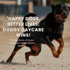 The Importance of Canine Socialization: Doggy Daycare Benefits