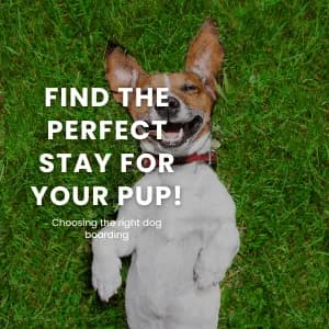 Choosing the Right Dog Boarding Facility: A Guide for Pet Owners