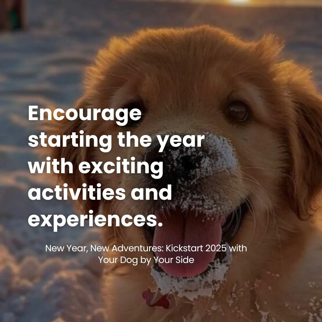 New Year, New Adventures: Kickstart 2025 with Your Dog by Your Side