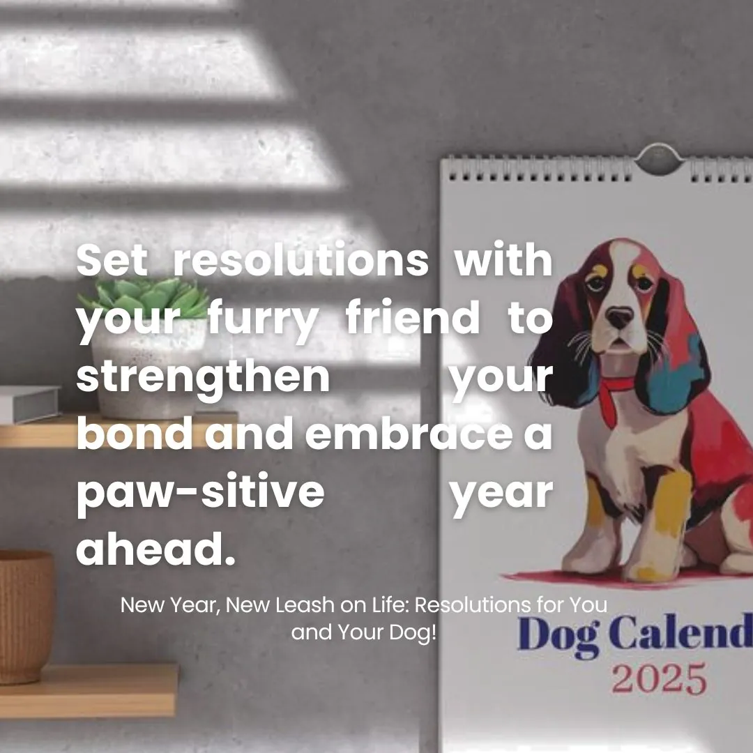 New Year, New Leash on Life: Resolutions for You and Your Dog!