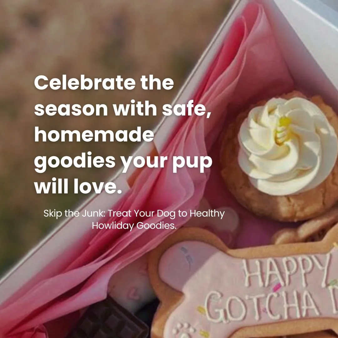 Skip the Junk: Treat Your Dog to Healthy Howliday Goodies