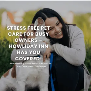 Why Howliday Inn Pet Resort is Perfect for Time-Constrained Pet Owners