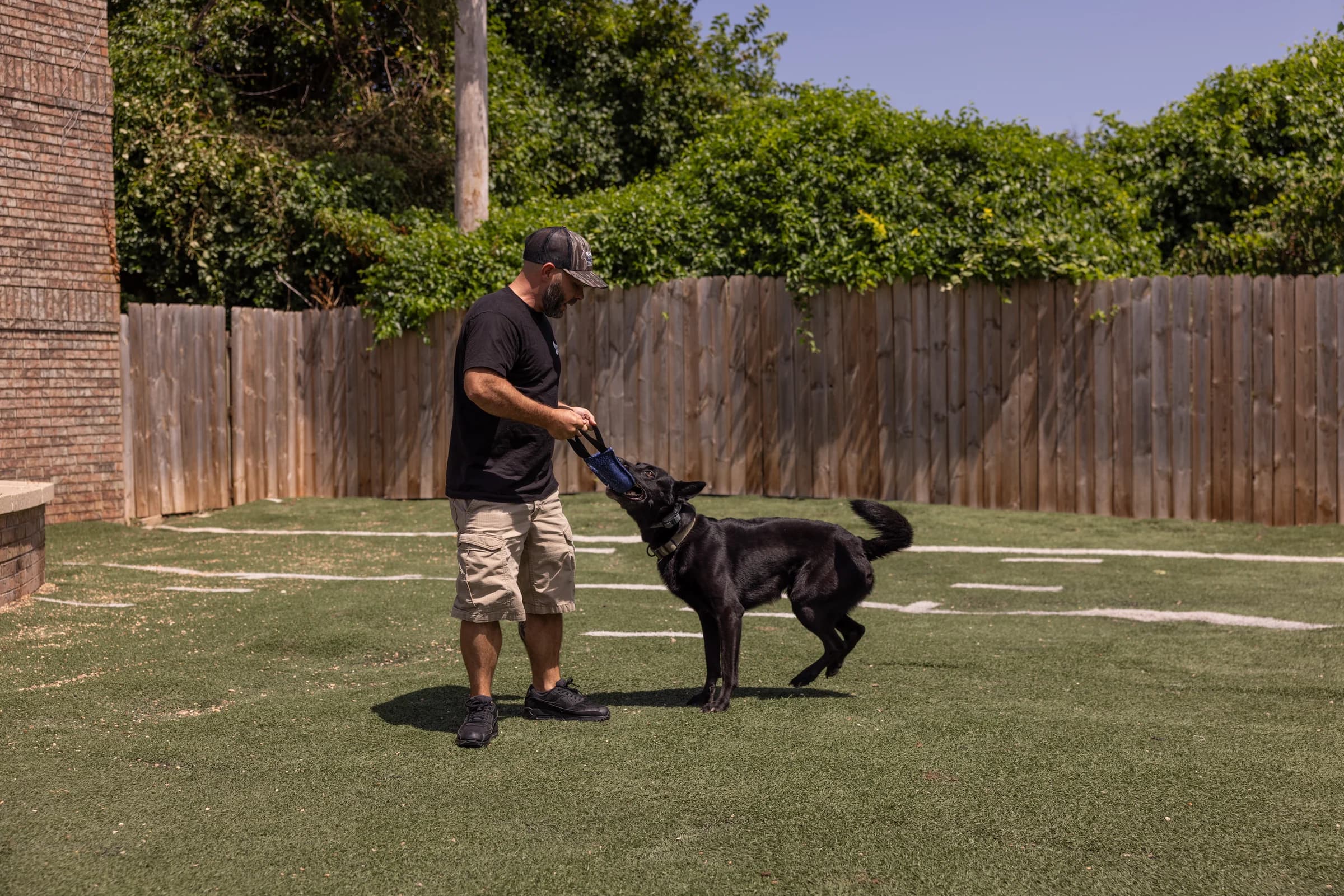 A trainer rewarding a black German Shepherd with a tug toy in Howliday Inn's outdoor yard