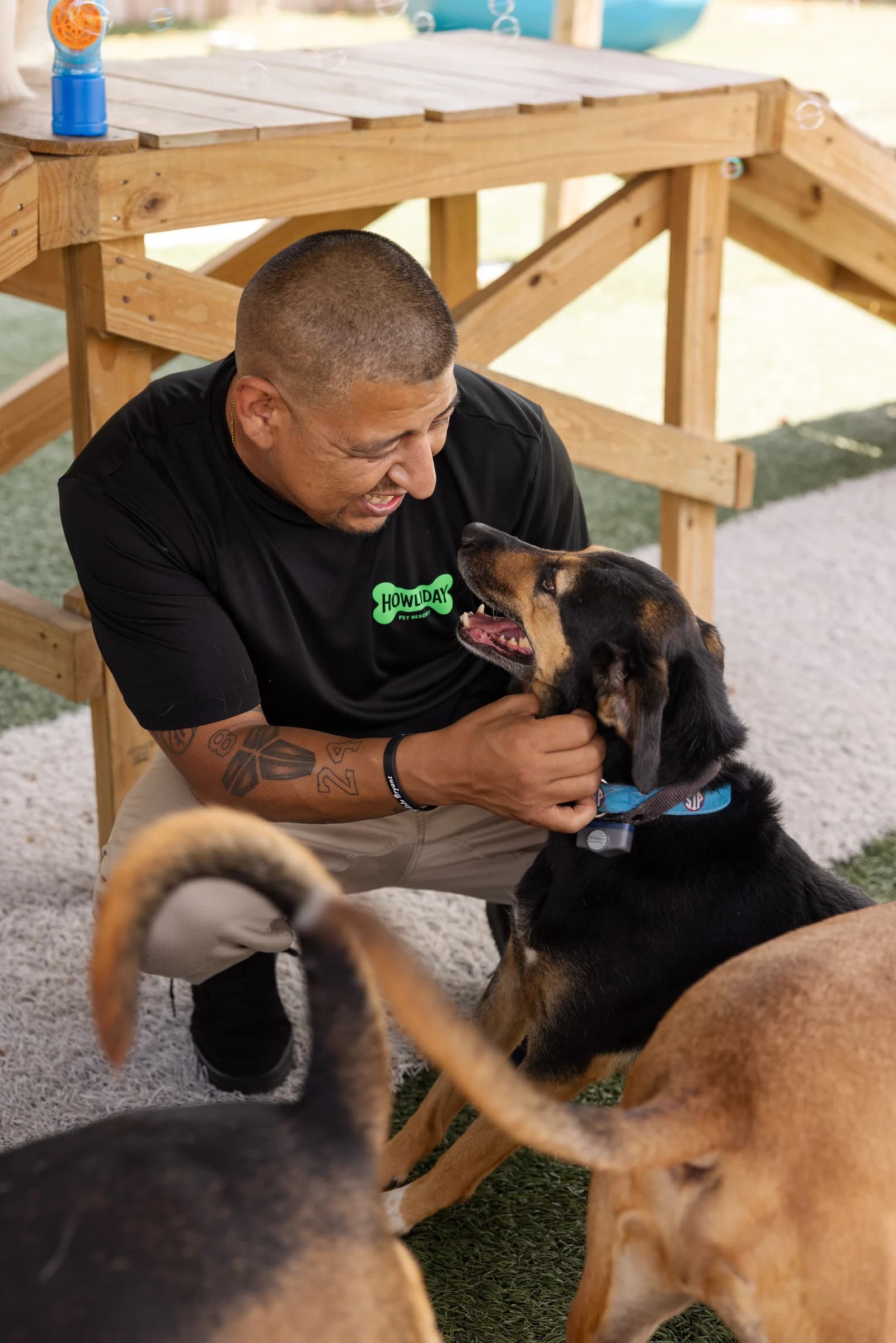 A Howliday Pet Resort staff member affectionately holding a hound's face in the play yard