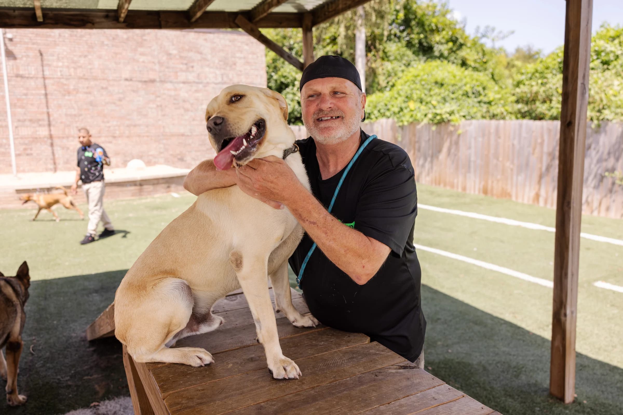 A Howliday Inn staff member hugging a happy yellow Labrador in the play yard