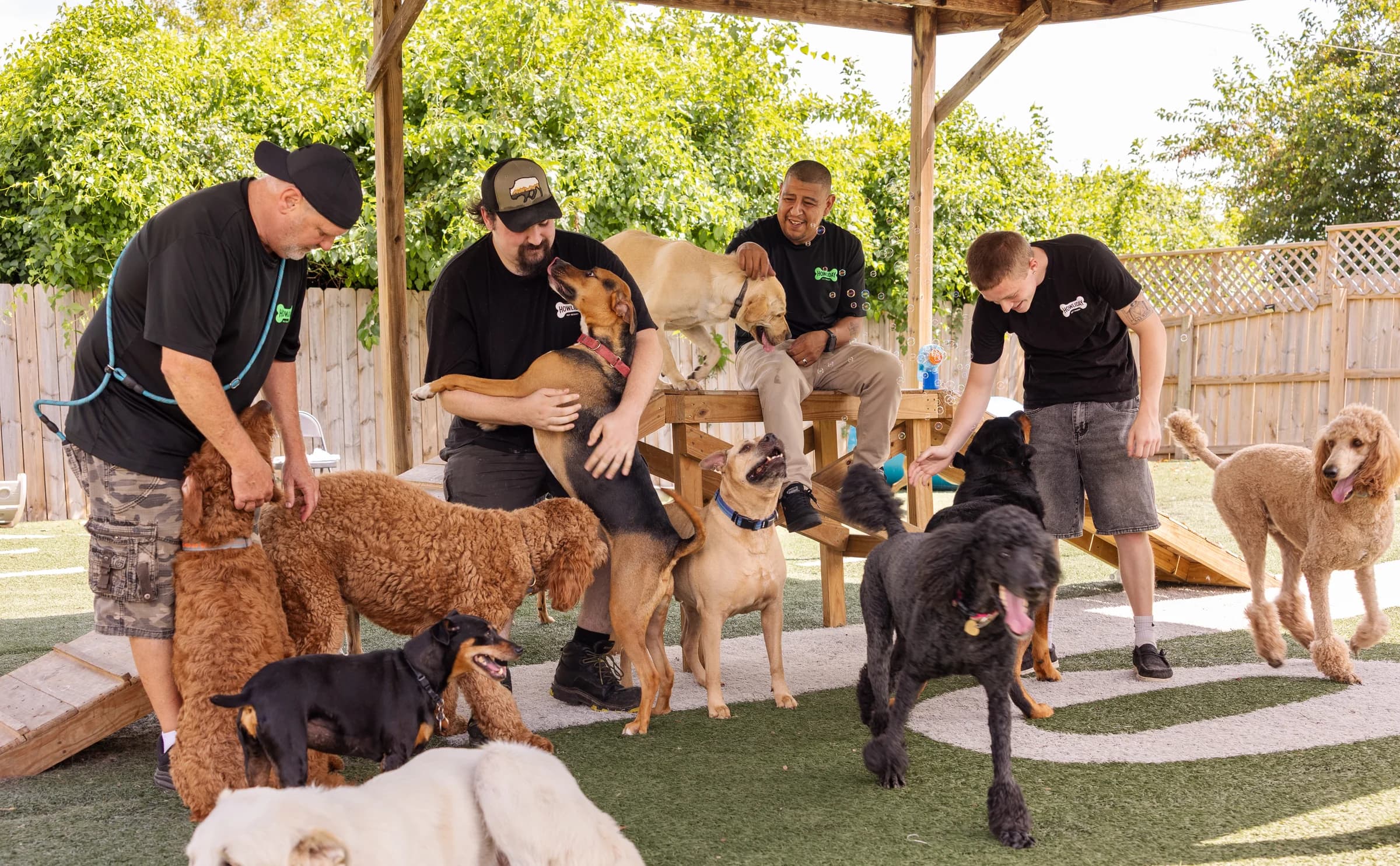 Four Howliday Pet Resort staff members caring for a group of dogs in the outdoor play yard
