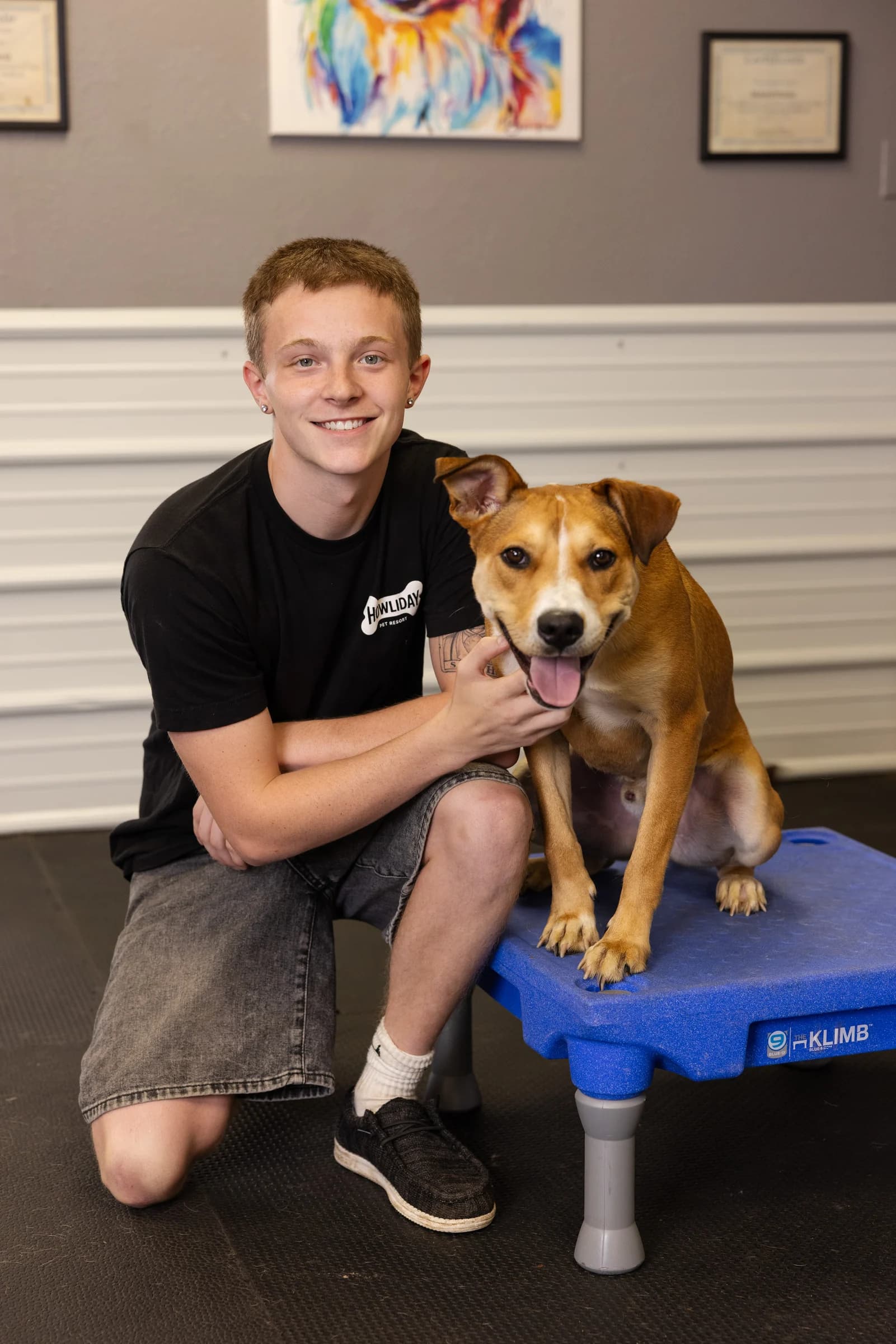 A Howliday Inn trainer kneeling beside a dog sitting on a training platform